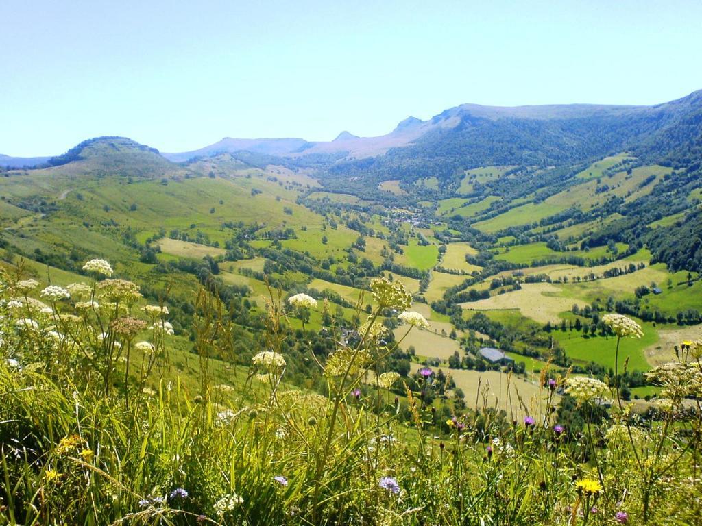 Domaine De La Chaux De Revel Casa de Campo Saint-Martin-Valmeroux